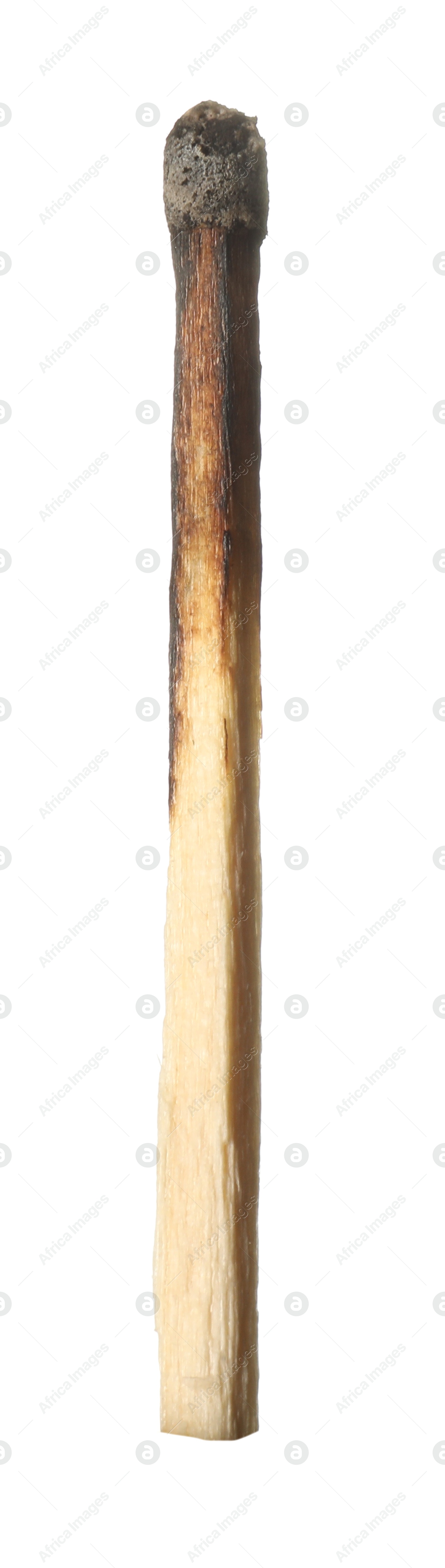 One burnt match isolated on white. Tool for starting fire Photo of One burnt match isolated on white. Tool for starting fire
