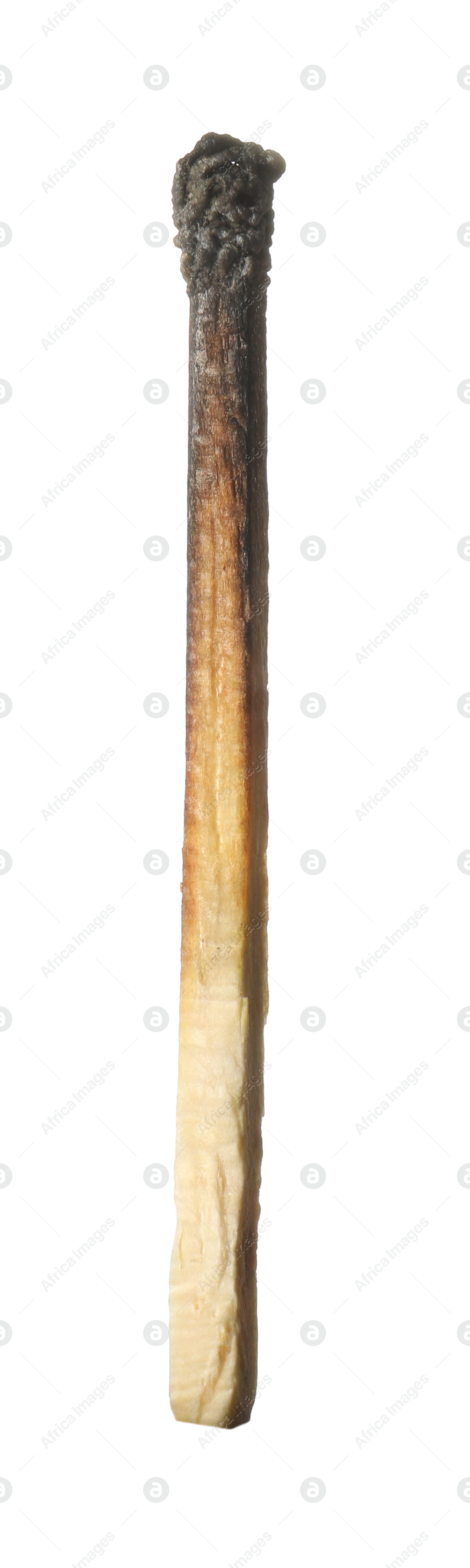 One burnt match isolated on white. Tool for starting fire Photo of One burnt match isolated on white. Tool for starting fire