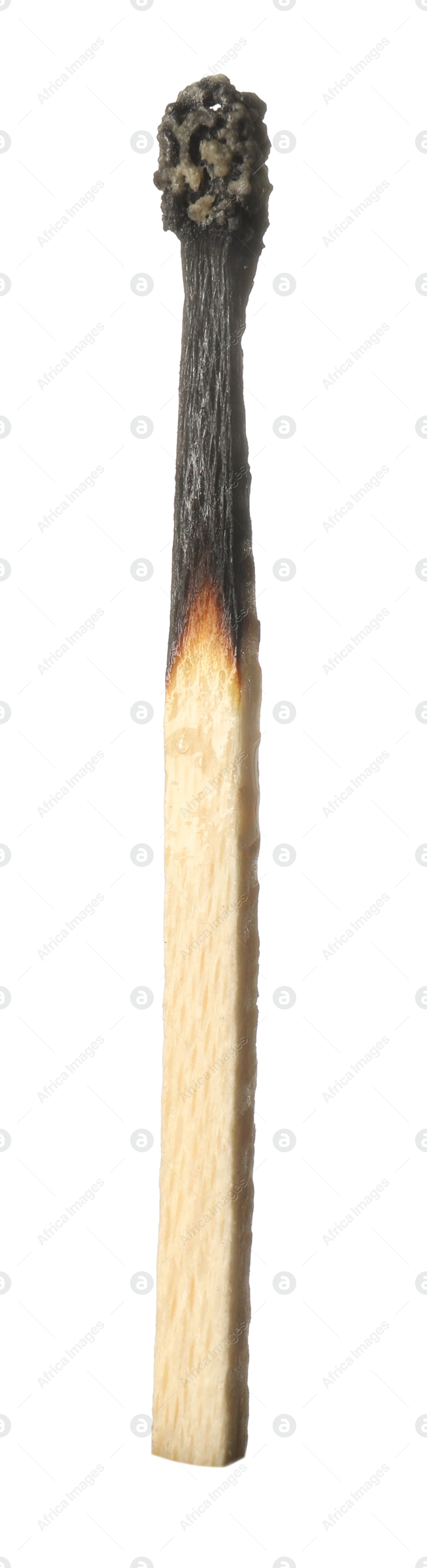 One burnt match isolated on white. Tool for starting fire Photo of One burnt match isolated on white. Tool for starting fire