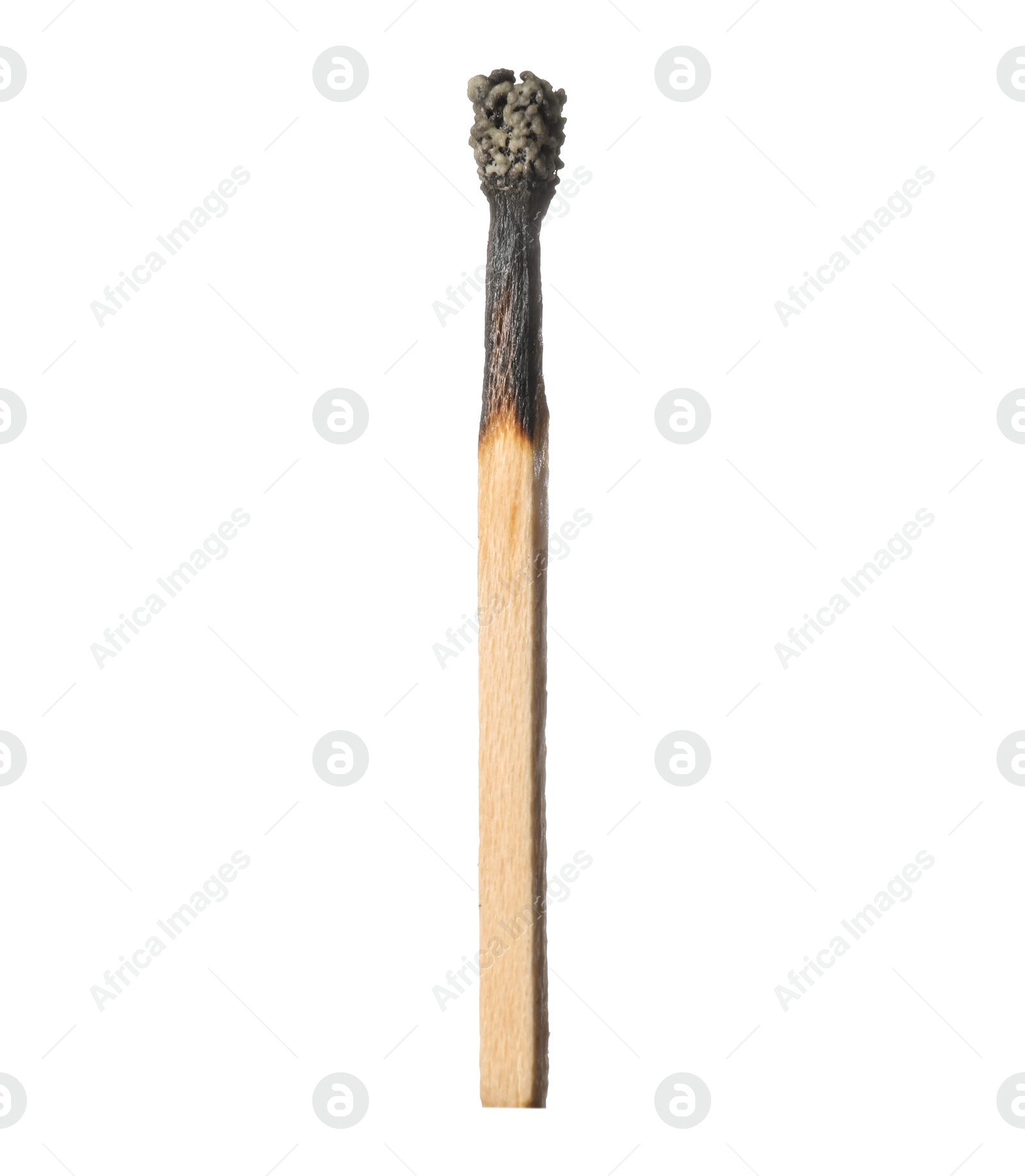 One burnt match isolated on white. Tool for starting fire Photo of One burnt match isolated on white. Tool for starting fire