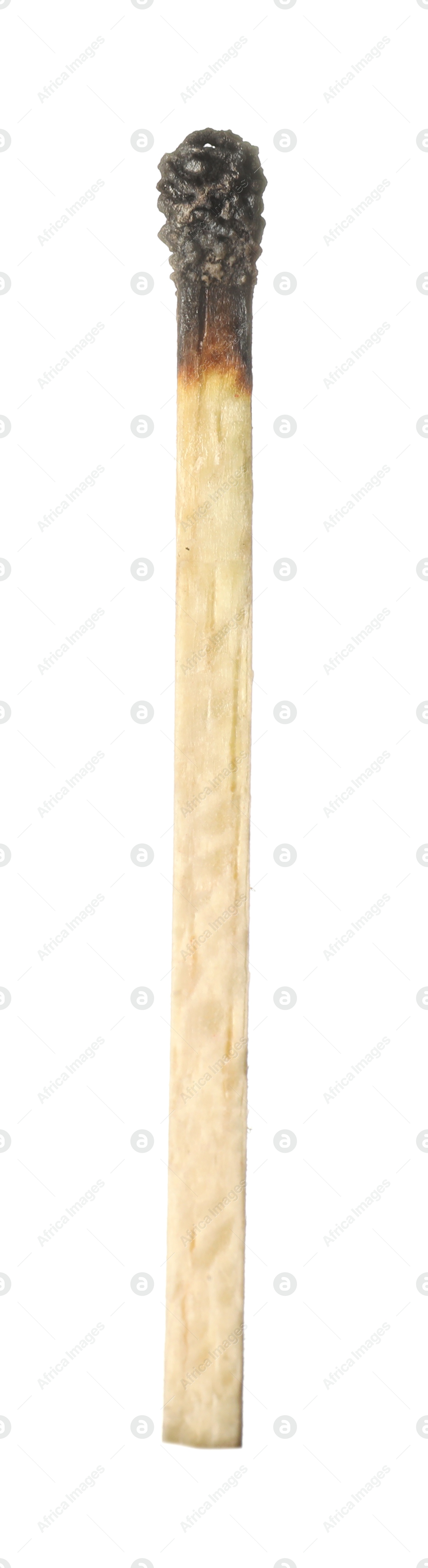 One burnt match isolated on white. Tool for starting fire Photo of One burnt match isolated on white. Tool for starting fire