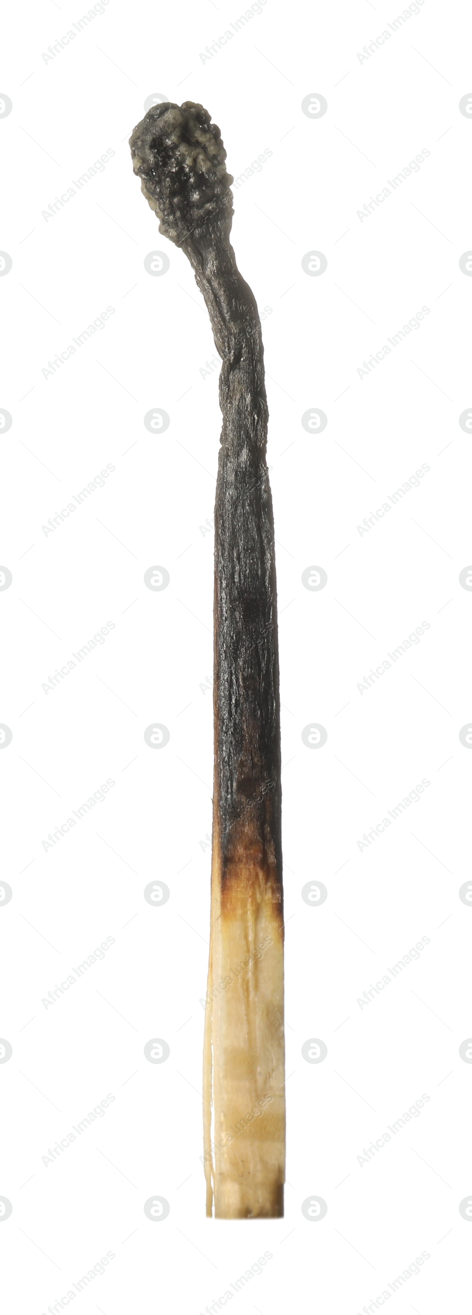 One burnt match isolated on white. Tool for starting fire Photo of One burnt match isolated on white. Tool for starting fire