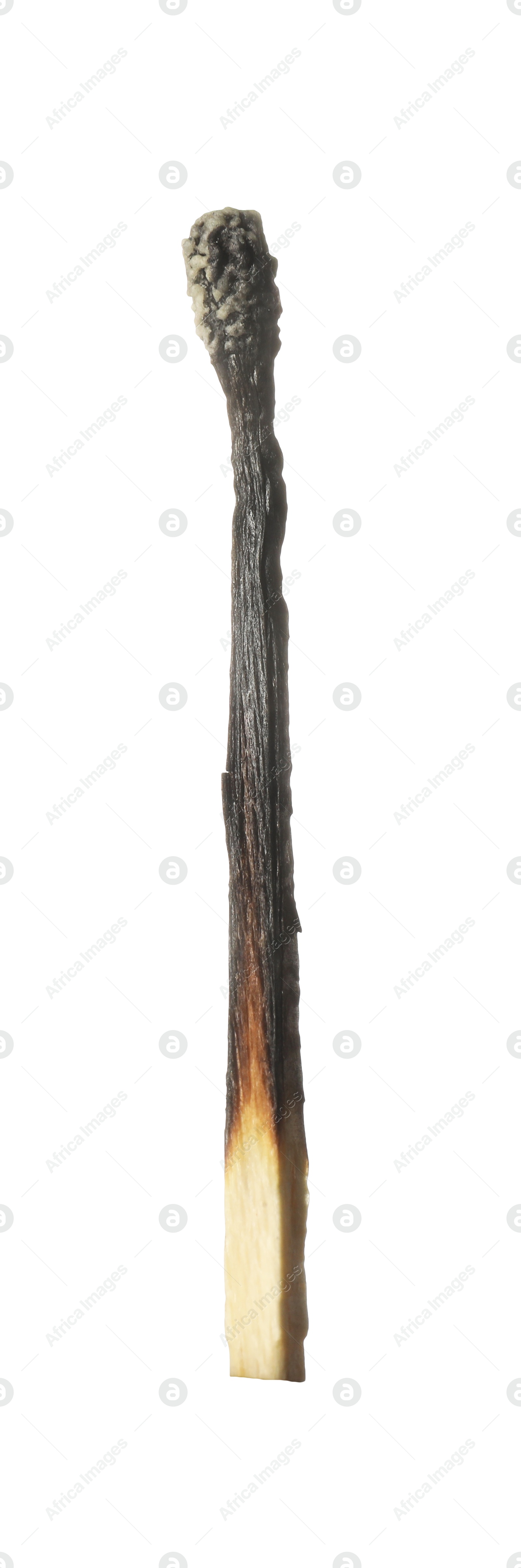 One burnt match isolated on white. Tool for starting fire Photo of One burnt match isolated on white. Tool for starting fire