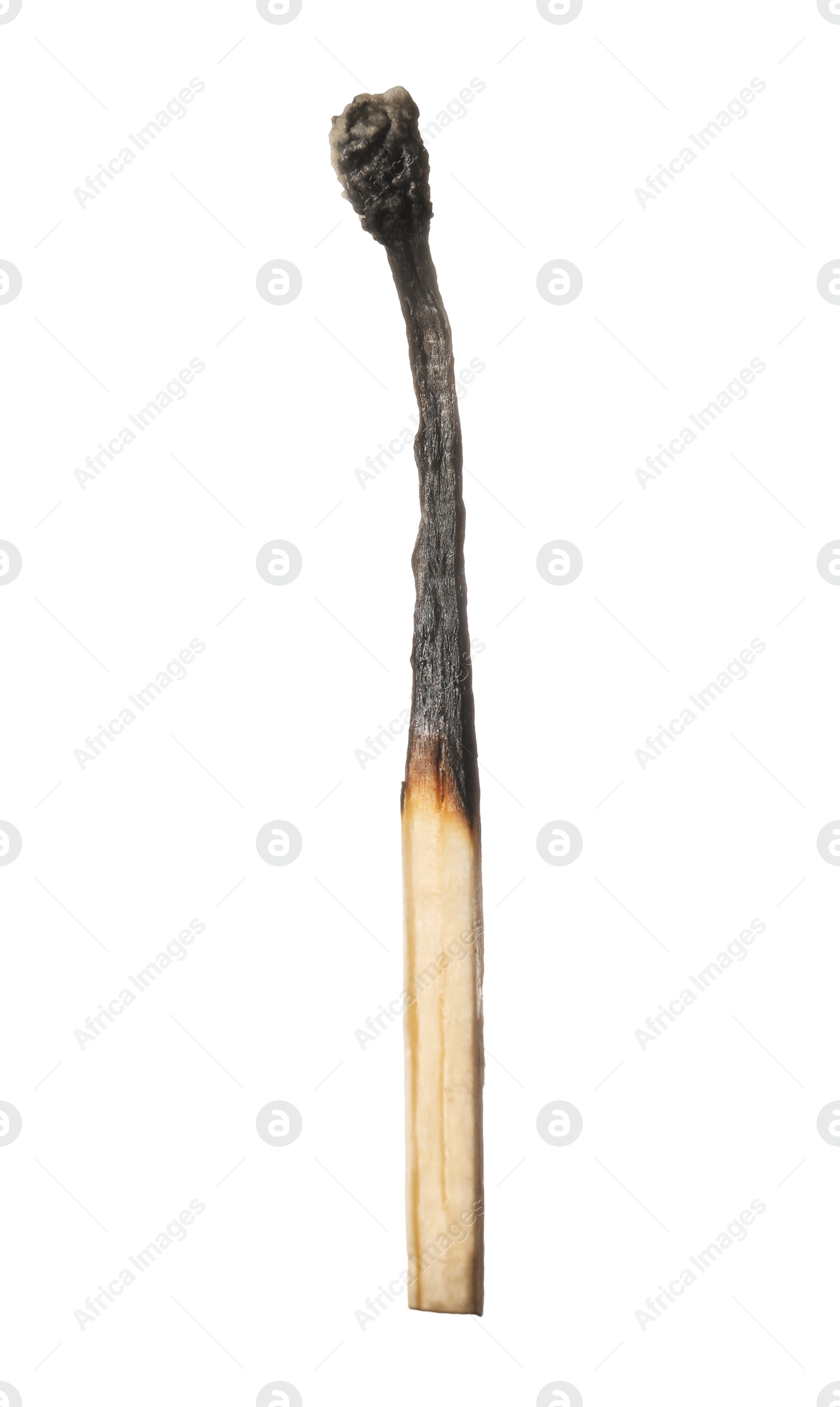 One burnt match isolated on white. Tool for starting fire Photo of One burnt match isolated on white. Tool for starting fire
