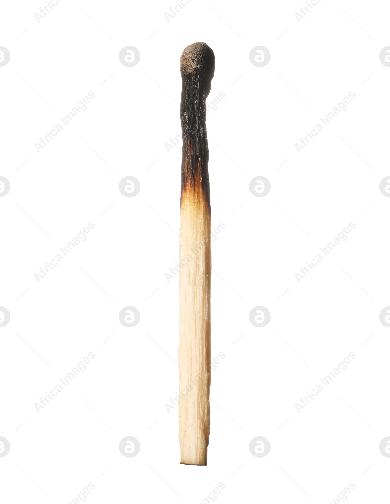 One burnt match isolated on white. Tool for starting fire Photo of One burnt match isolated on white. Tool for starting fire