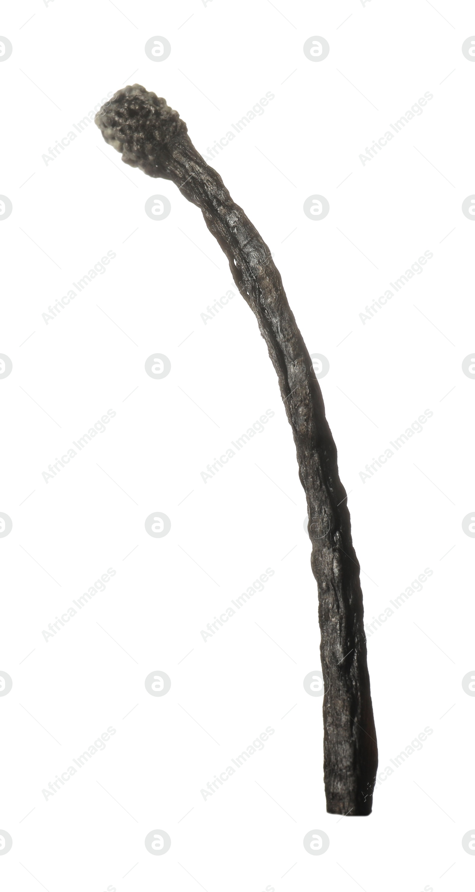 One burnt match isolated on white. Tool for starting fire Photo of One burnt match isolated on white. Tool for starting fire