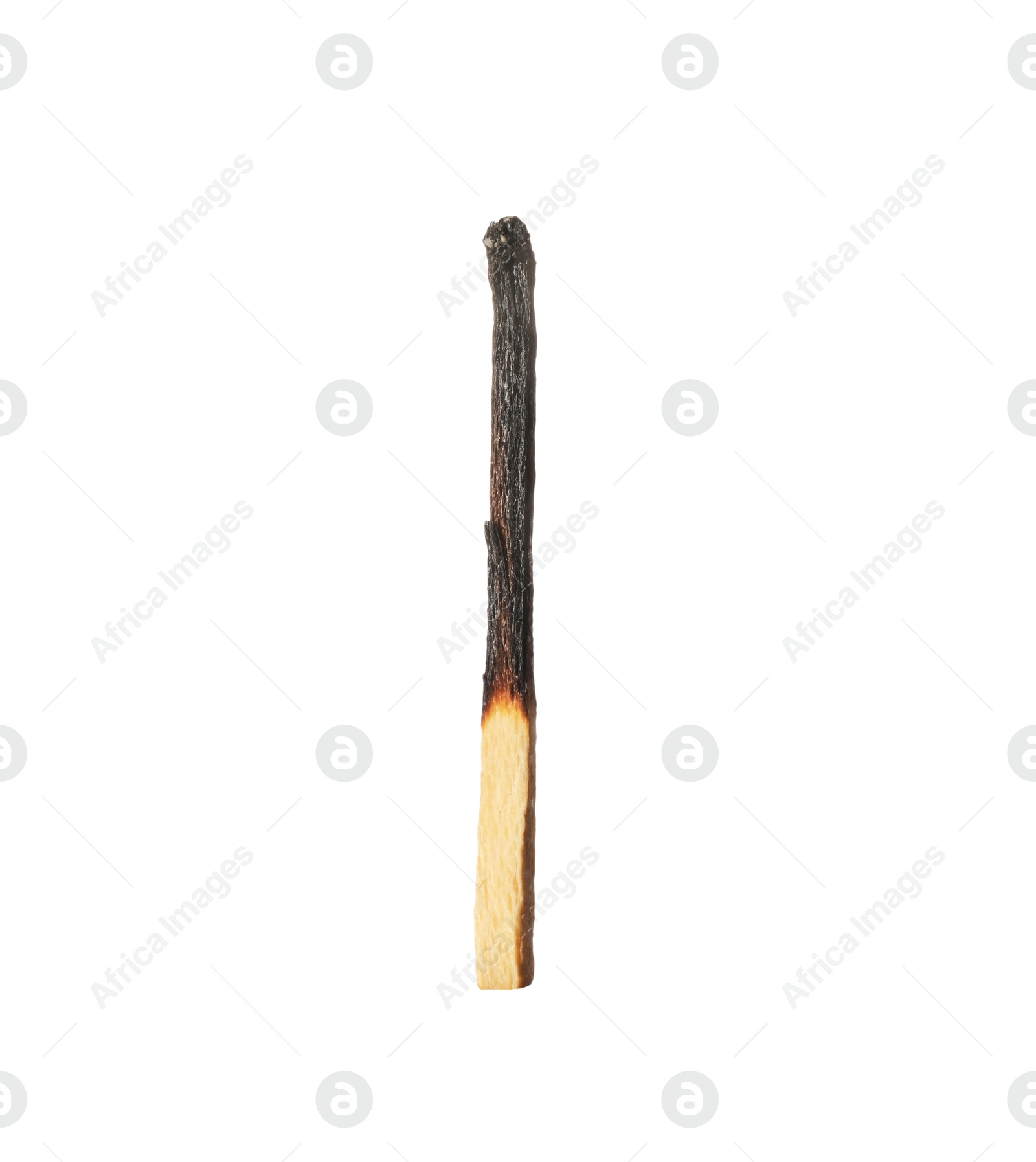 One burnt match isolated on white. Tool for starting fire Photo of One burnt match isolated on white. Tool for starting fire