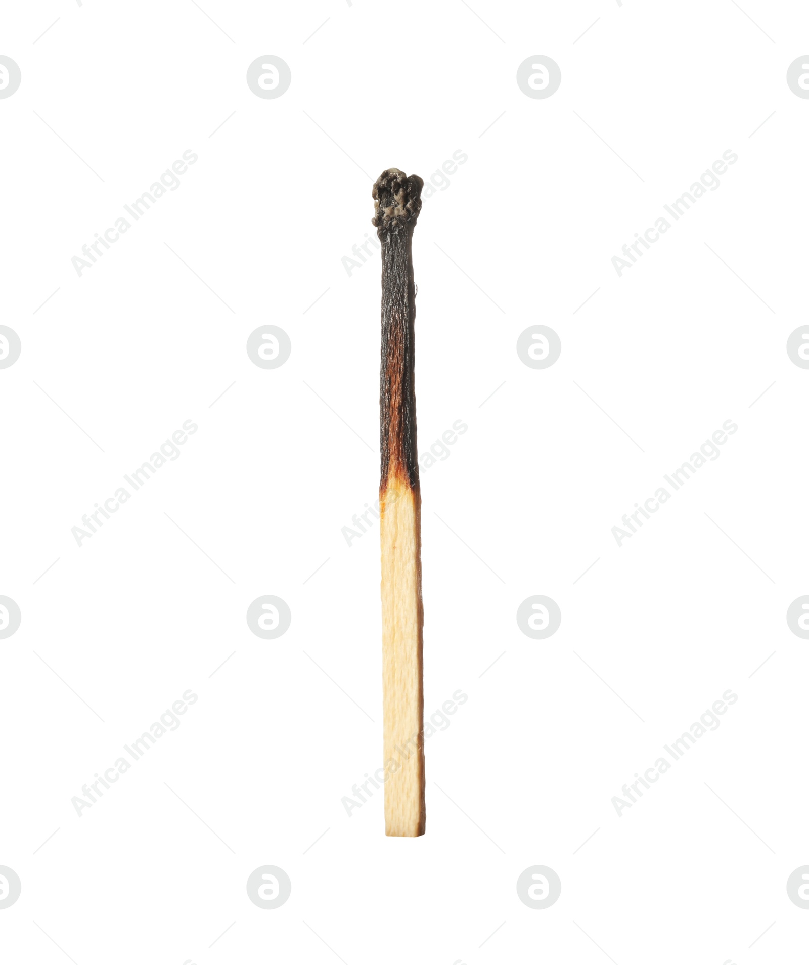 One burnt match isolated on white. Tool for starting fire Photo of One burnt match isolated on white. Tool for starting fire