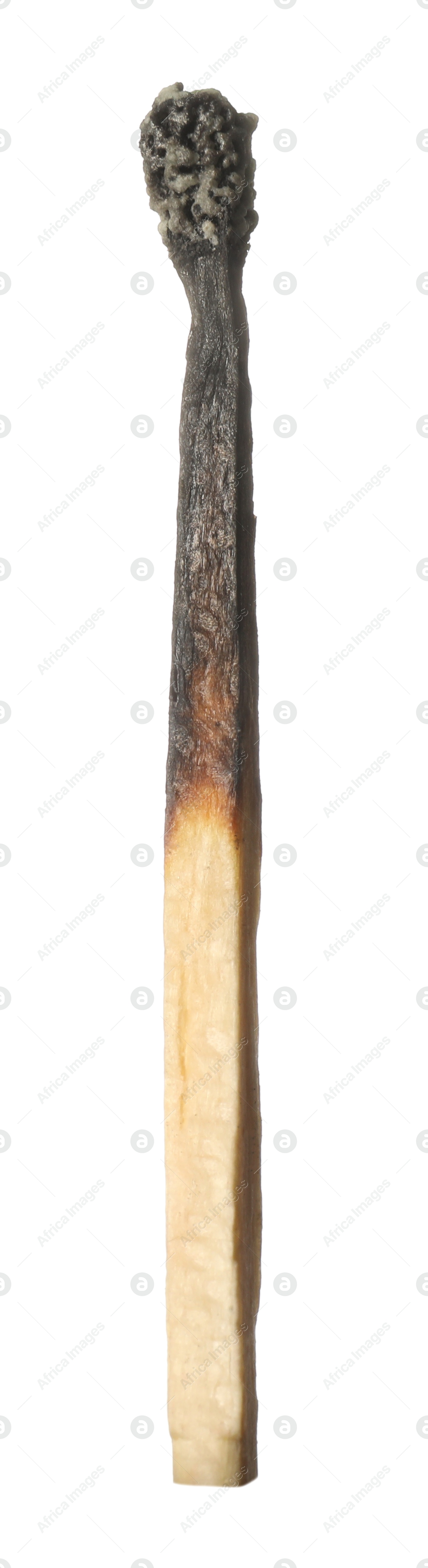 One burnt match isolated on white. Tool for starting fire Photo of One burnt match isolated on white. Tool for starting fire