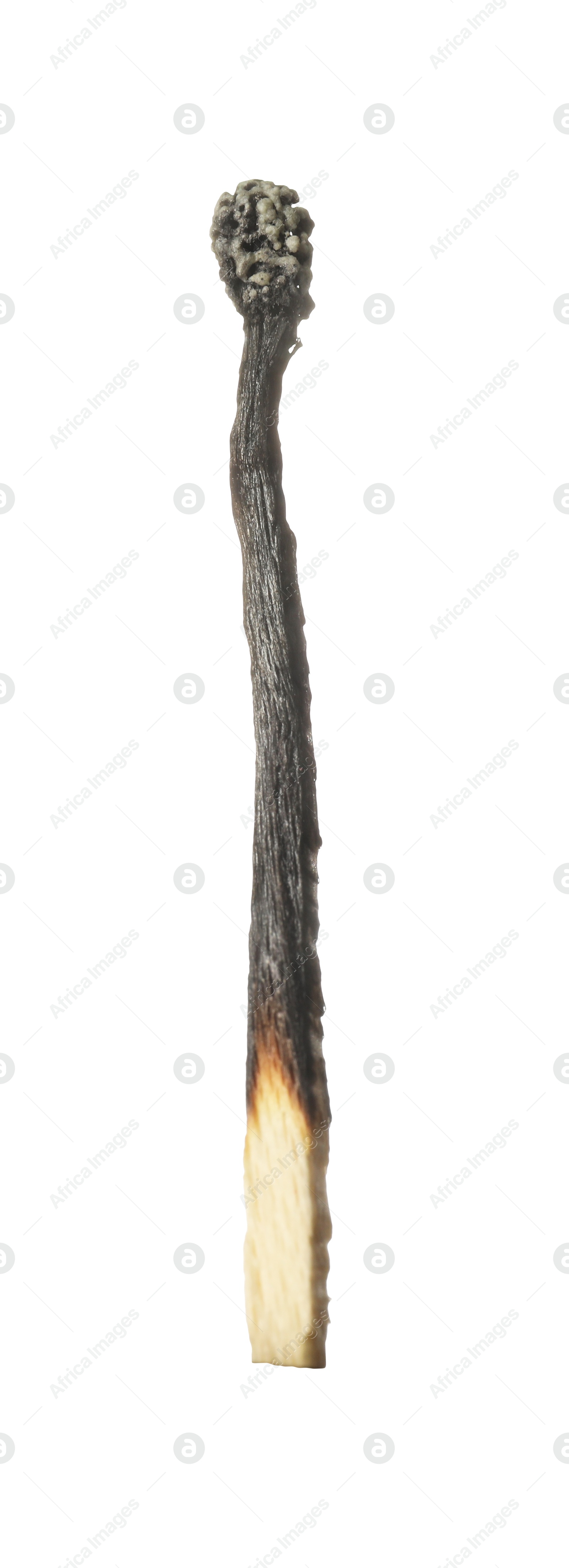 One burnt match isolated on white. Tool for starting fire Photo of One burnt match isolated on white. Tool for starting fire