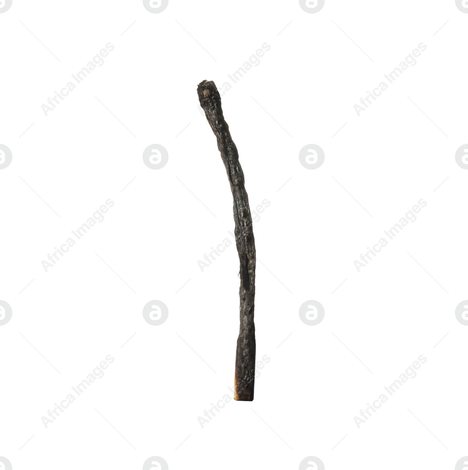 One burnt match isolated on white. Tool for starting fire Photo of One burnt match isolated on white. Tool for starting fire