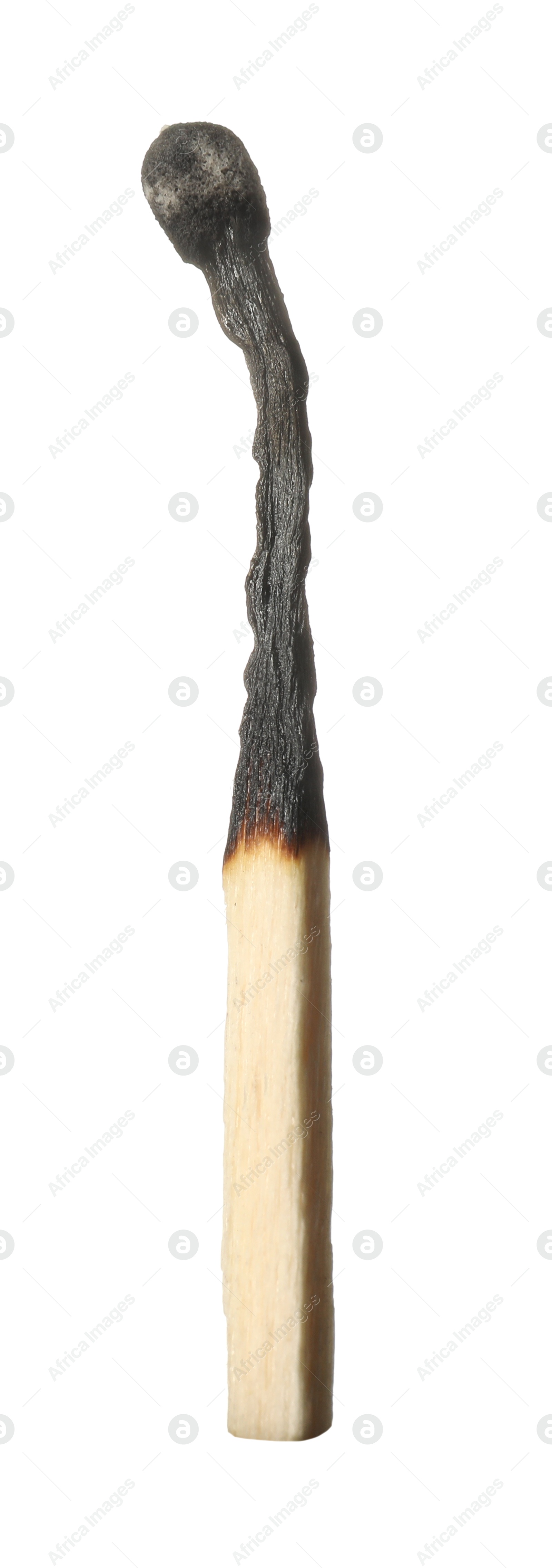 One burnt match isolated on white. Tool for starting fire Photo of One burnt match isolated on white. Tool for starting fire