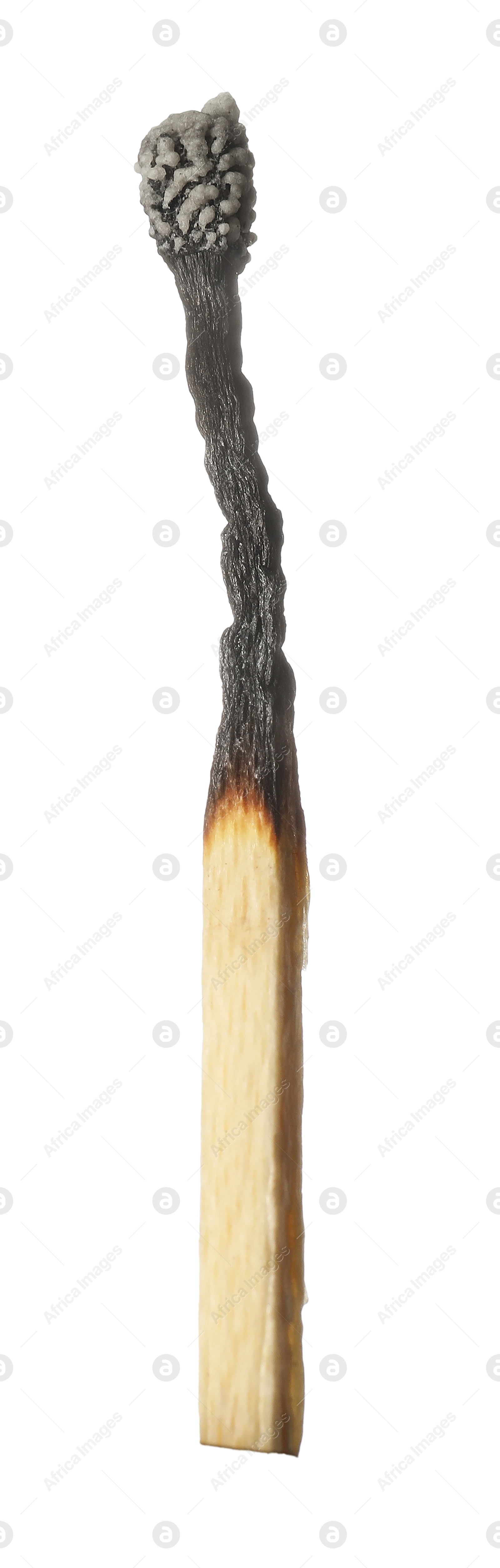 One burnt match isolated on white. Tool for starting fire Photo of One burnt match isolated on white. Tool for starting fire