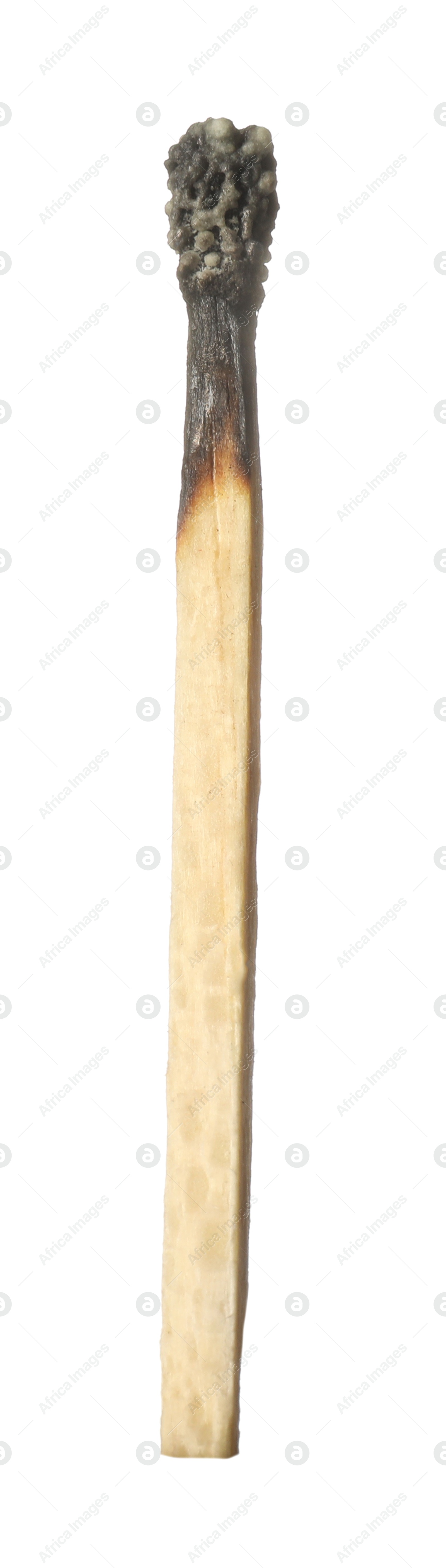 One burnt match isolated on white. Tool for starting fire Photo of One burnt match isolated on white. Tool for starting fire