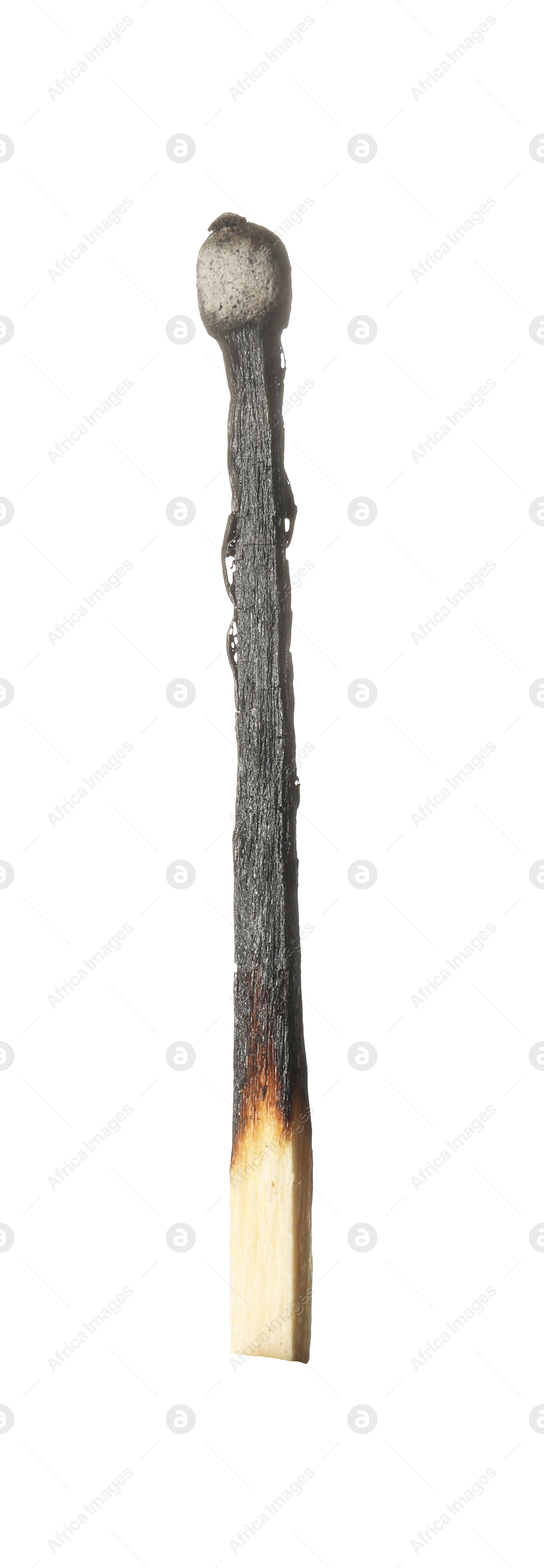 One burnt match isolated on white. Tool for starting fire Photo of One burnt match isolated on white. Tool for starting fire