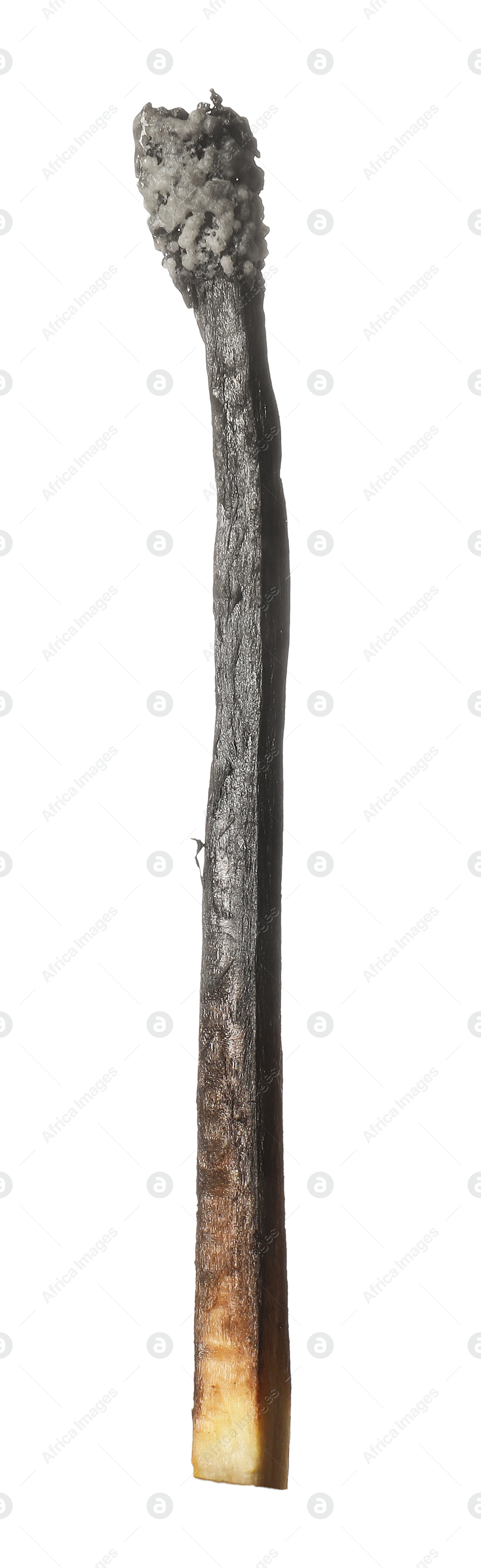 One burnt match isolated on white. Tool for starting fire Photo of One burnt match isolated on white. Tool for starting fire