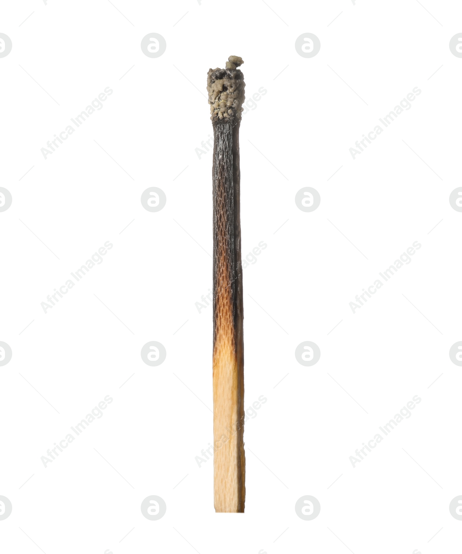 One burnt match isolated on white. Tool for starting fire Photo of One burnt match isolated on white. Tool for starting fire