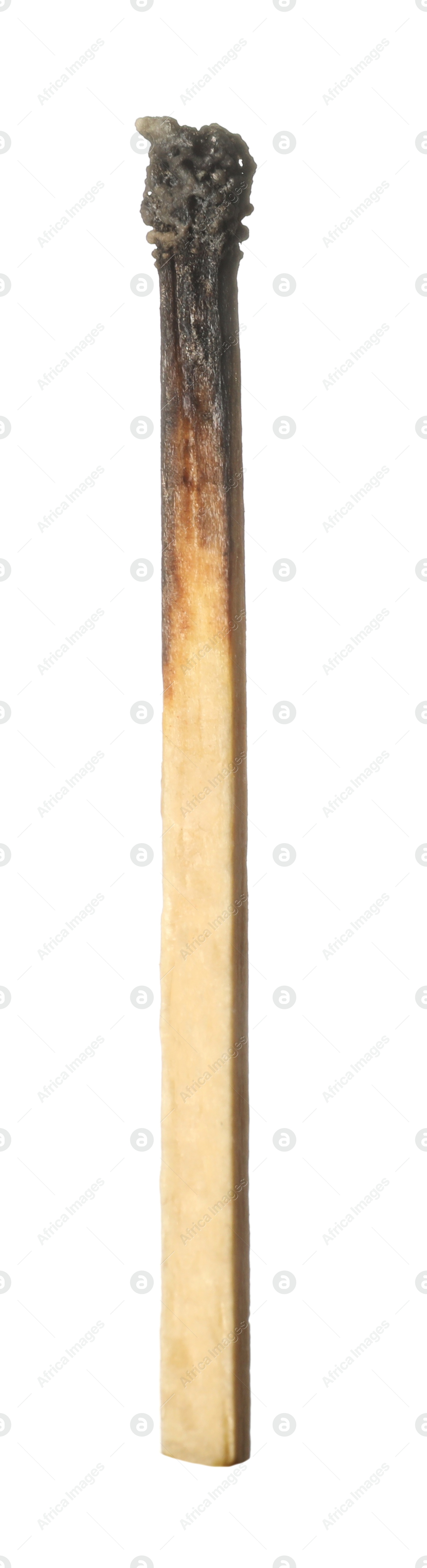 One burnt match isolated on white. Tool for starting fire Photo of One burnt match isolated on white. Tool for starting fire