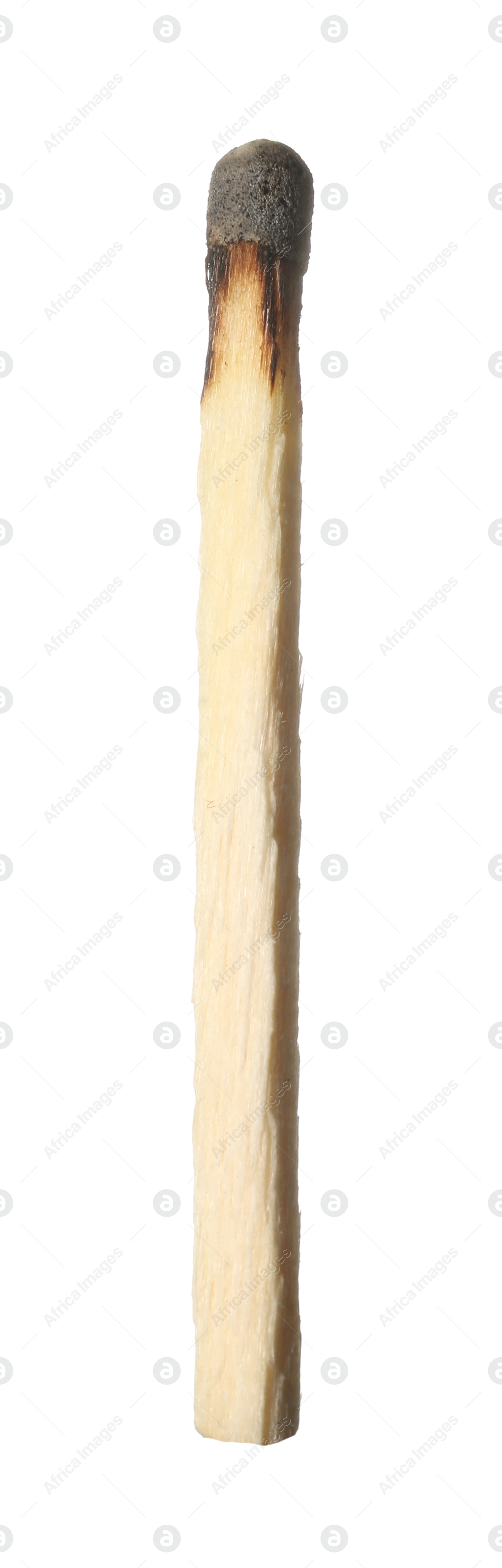 One burnt match isolated on white. Tool for starting fire Photo of One burnt match isolated on white. Tool for starting fire