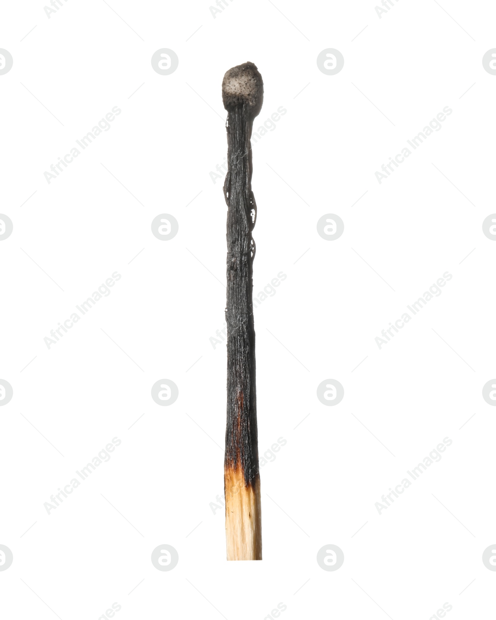 One burnt match isolated on white. Tool for starting fire Photo of One burnt match isolated on white. Tool for starting fire