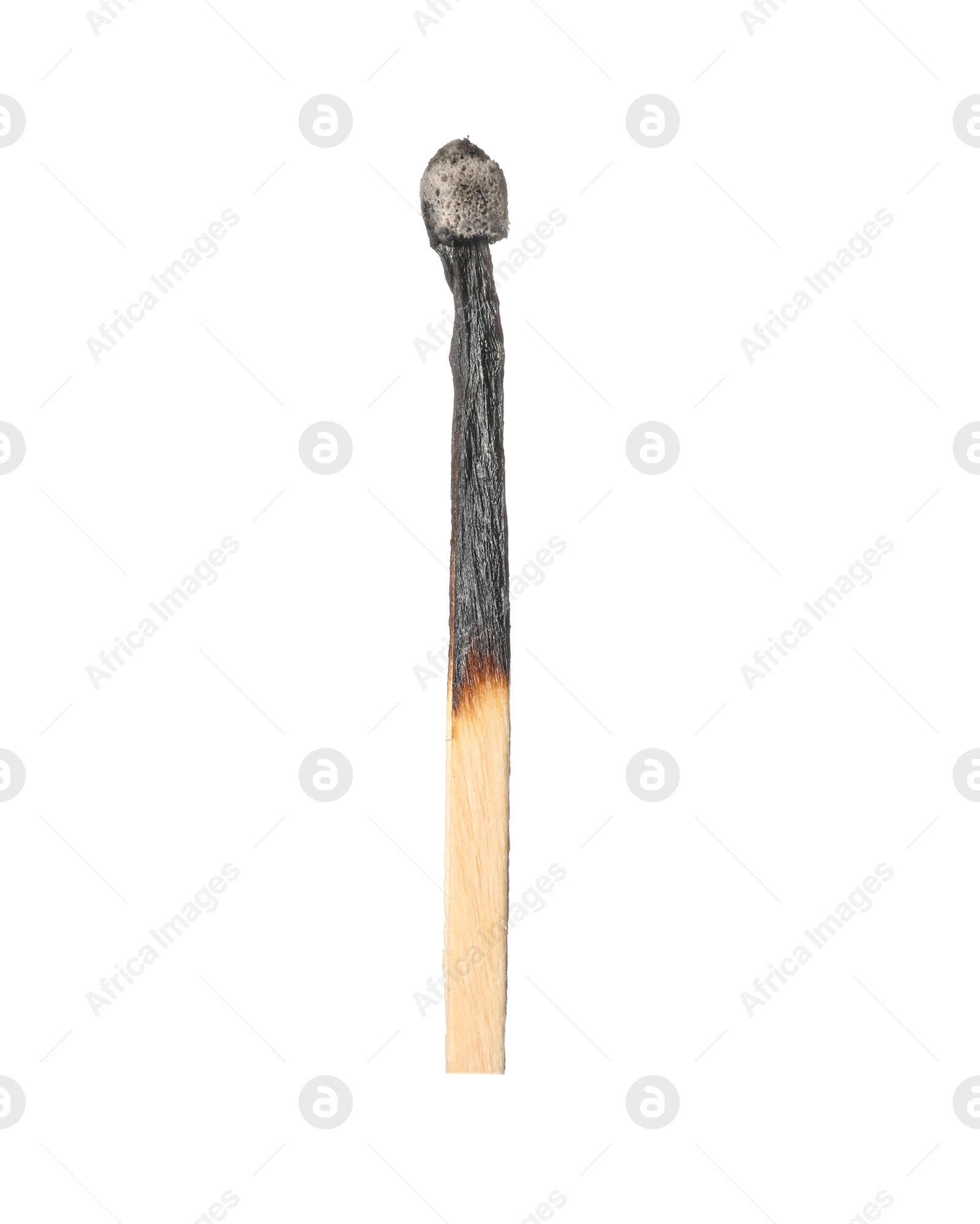 One burnt match isolated on white. Tool for starting fire Photo of One burnt match isolated on white. Tool for starting fire