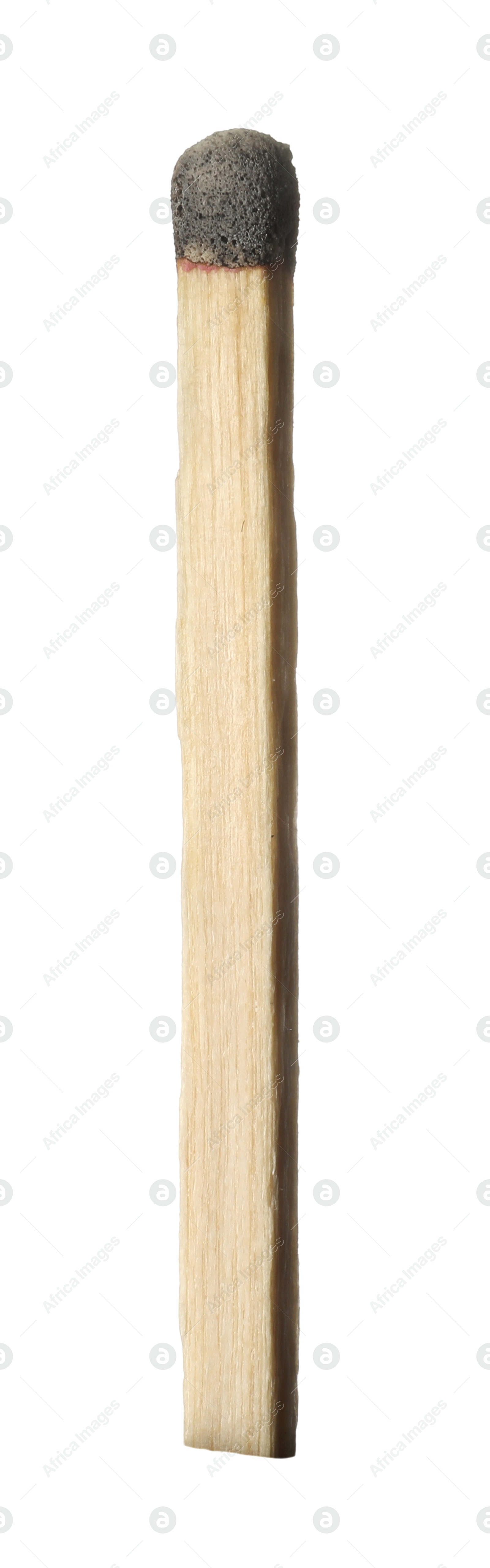 One burnt match isolated on white. Tool for starting fire Photo of One burnt match isolated on white. Tool for starting fire