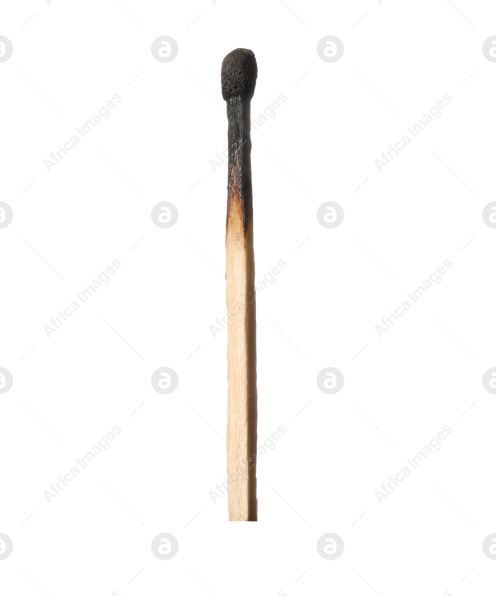 One burnt match isolated on white. Tool for starting fire Photo of One burnt match isolated on white. Tool for starting fire