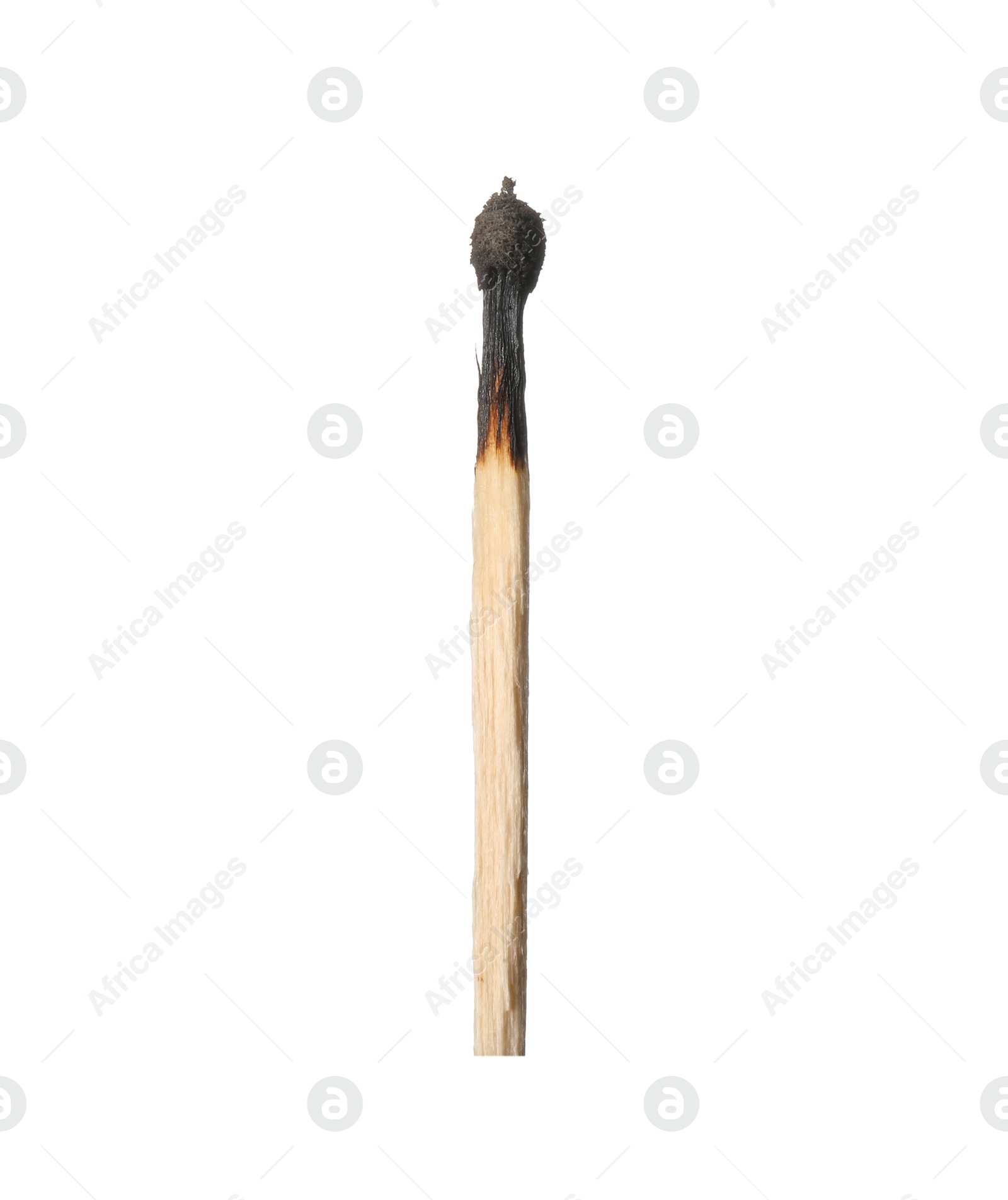 One burnt match isolated on white. Tool for starting fire Photo of One burnt match isolated on white. Tool for starting fire
