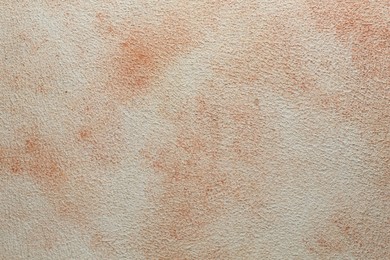 Photo of Cement textured surface as background, closeup view