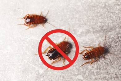 Image of Cockroaches and red prohibition sign on grey surface