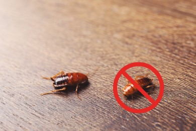 Image of Cockroaches and red prohibition sign on wooden surface. Pest control