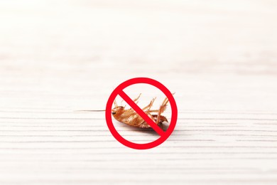 Image of Dead cockroach with red prohibition sign on white wooden surface. Pest control