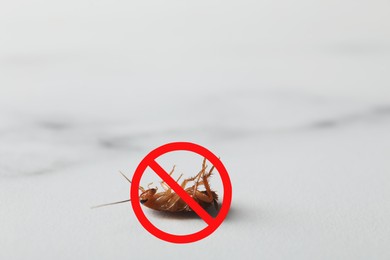 Image of Dead cockroach with red prohibition sign on light surface. Pest control