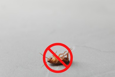 Image of Dead cockroach with red prohibition sign on grey surface. Pest control