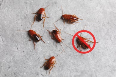 Image of Cockroaches and red prohibition sign on grey surface. Pest control