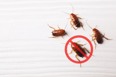 Image of Pest control. Cockroaches and red prohibition sign on white wooden surface, top view. Space for text
