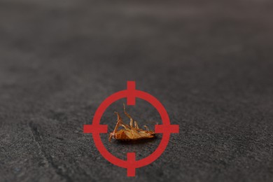 Image of Dead cockroach with red target symbol on grey surface, closeup. Pest control