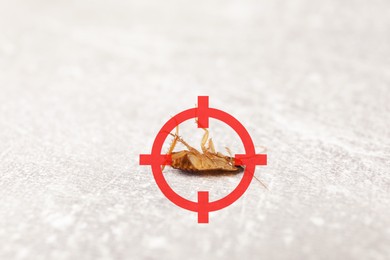 Image of Dead cockroach with red target symbol on light grey surface, closeup. Pest control