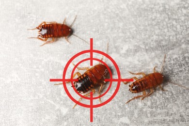 Image of Cockroaches and red target symbol on grey surface. Pest control