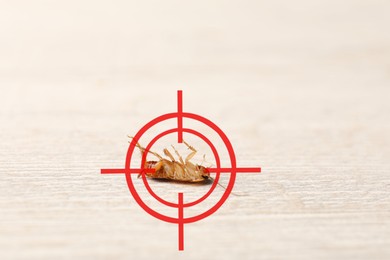 Image of Dead cockroach with red target symbol on wooden surface, closeup. Pest control