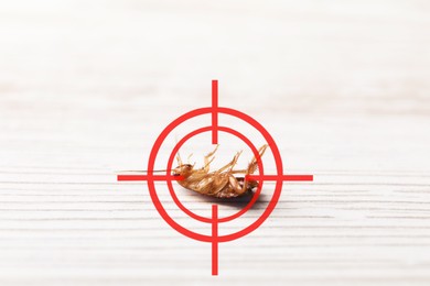 Image of Dead cockroach with red target symbol on white wooden surface, closeup. Pest control