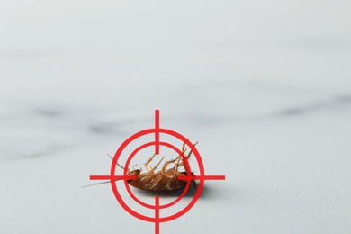 Image of Dead cockroach with red target symbol on light surface, closeup. Pest control