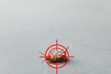 Image of Dead cockroach with red target symbol on grey surface, closeup. Pest control