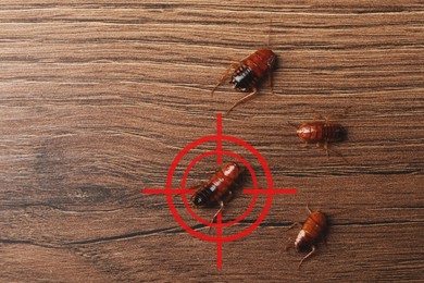 Image of Cockroaches and red target symbol on wooden surface, top view. Pest control