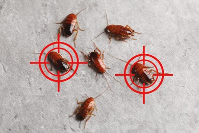 Image of Cockroaches and red target symbols on grey surface, top view. Pest control