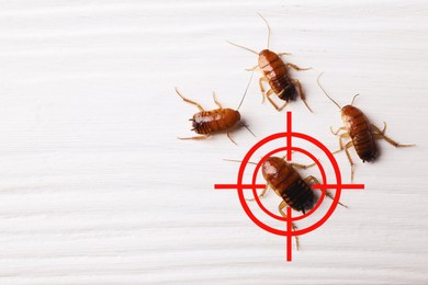 Image of Pest control. Cockroaches and red target symbol on white wooden surface, top view. Space for text