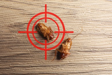 Image of Dead cockroaches and red target symbol on wooden surface, top view. Pest control