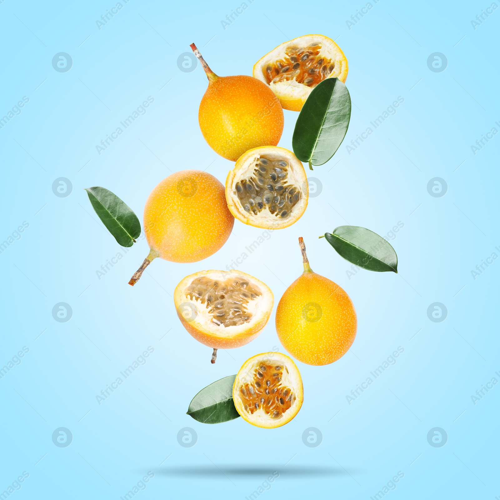 Delicious ripe passion fruits with green leaves falling on light blue background Image of Delicious ripe passion fruits with green leaves falling on light blue background