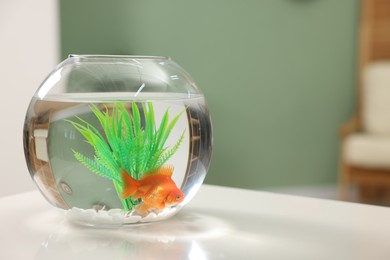 Photo of Gold fish swimming in aquarium with clean water on white table indoors, space for text