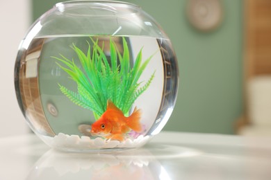 Photo of Gold fish swimming in aquarium with clean water on white table indoors